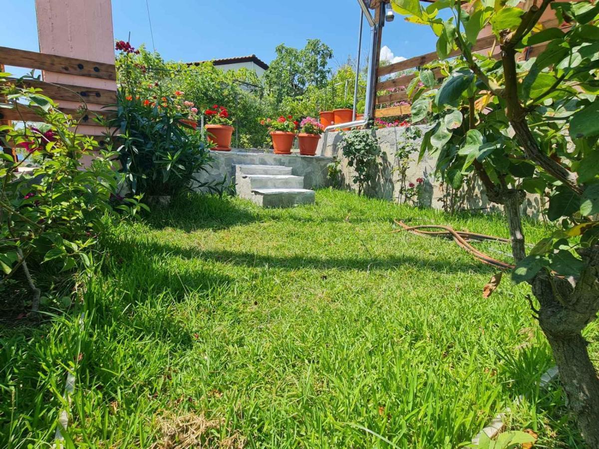 Stella'S Garden Villa PalaiónTsiflíkion Екстериор снимка