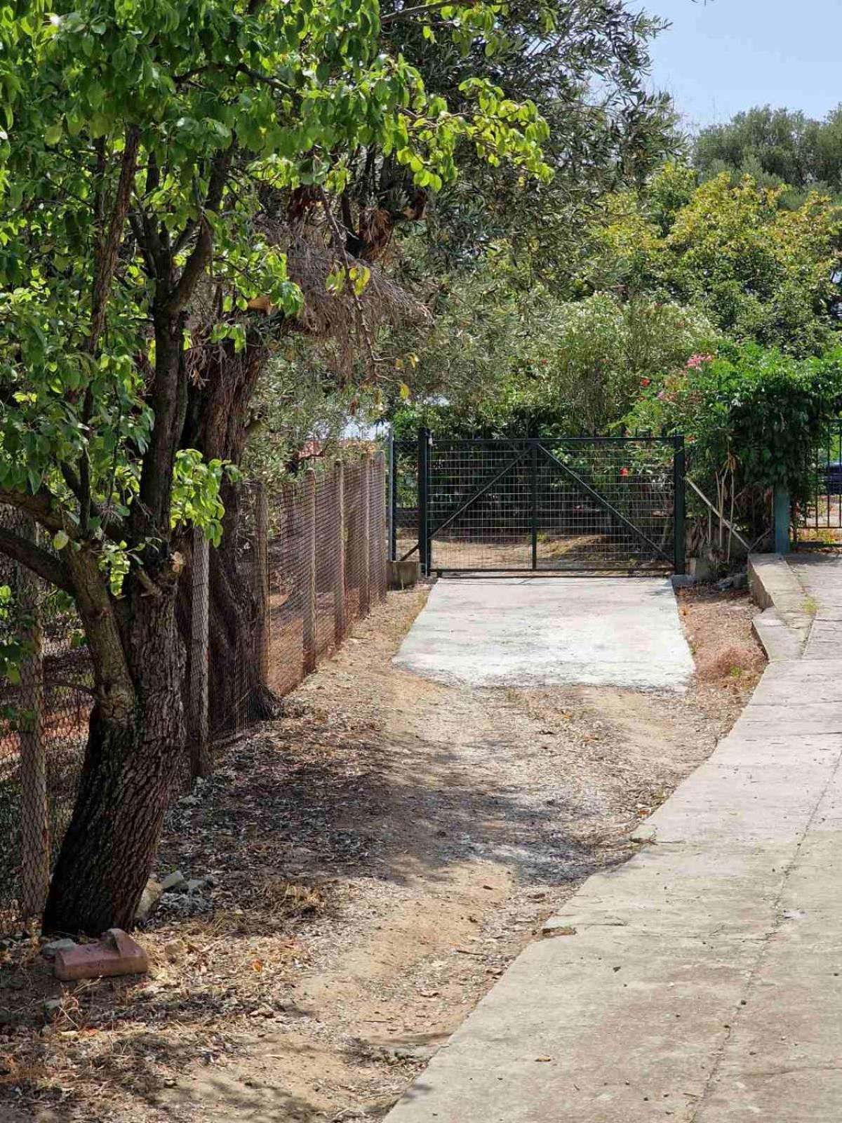 Stella'S Garden Villa PalaiónTsiflíkion Екстериор снимка